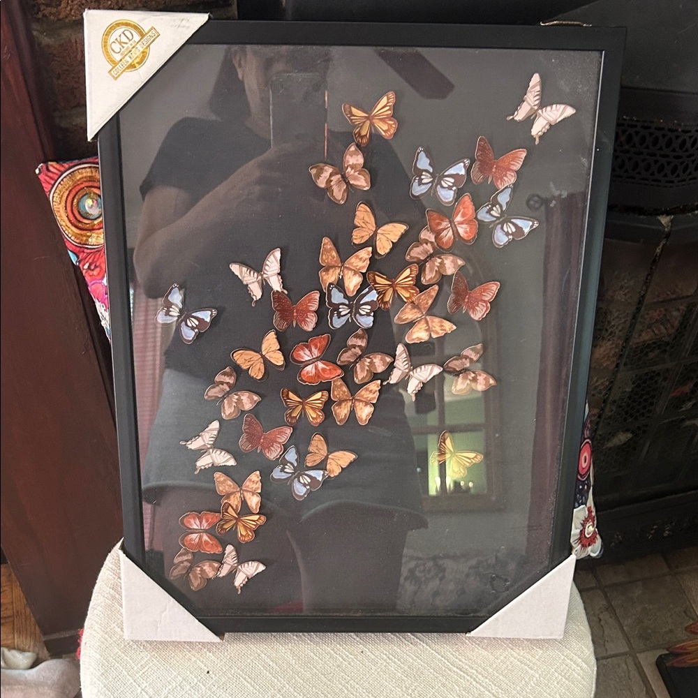 Multicolor Butterfly Frame